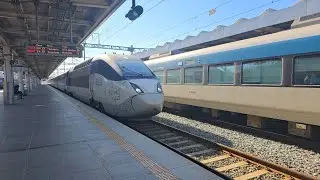 (20260103) 행신발 포항행 KTX-산천 239 117호기 포항역 당역종착 진입 ヘンシン発浦項行きKTX-山川239 117号機浦項駅当駅終着進入
