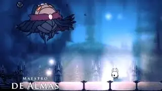 MAESTRO DE ALMAS HOLLOW KNIGHT