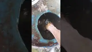 Animal  urine...!! powerful  organics  fertilizer 💀#plant #world #fertilizer #nature