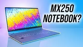 Leader Companion SC568/MAG-15u Review  - MX250 + i7-8565U