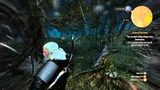 The Witcher 3: Wild Hunt   the ghost in the tree