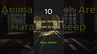 Top 10 Animals which are Haram to keep as Pet #islam #animals #haram
