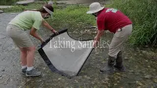 Stream Team Monitoring