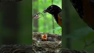 Brave Bird vs Snake 🐦🐍 | Epic Nest Defense Battle!