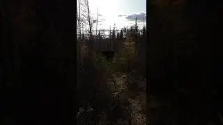 Переходное зимовьё