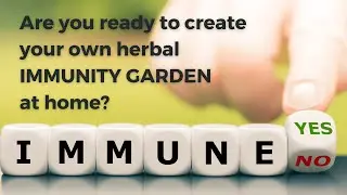 Immune System Booster Herbs in your Home Immunity Garden(How to Boost Immunity naturally?)
