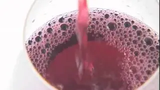 Wines of the DO Pened&egrave;s