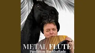 Metal Flute (Panfl&ouml;te Rockballade)