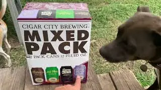 4* Cosmic Crown Strong Golden Ale Dog Approved FL craft beer #241