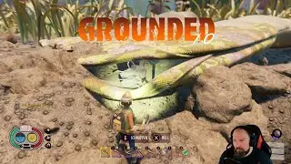 Grounded V1.0 🐞 |38| Aufgang oberer Garten & Fusseln vom Handschuh! Gameplay Deutsch