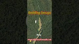 Bedding Setups for Buck Hunting #bigdeer #deerhunting #whitetailwoods #hunting