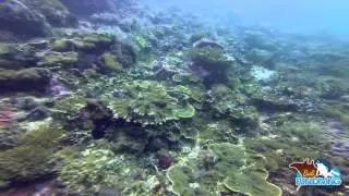 Candidasa dive site