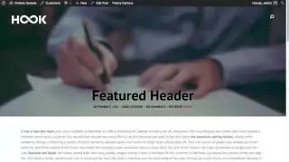 Hook WordPress Theme – Single Blog Posts