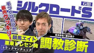 【競馬エイト調教診断】シルクロードS（籔本俊介＆坂本和也）