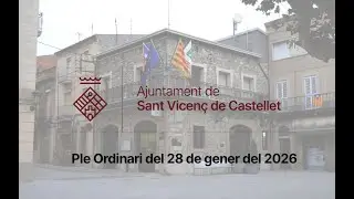 Ple Ordinari del 28 de Gener 2026