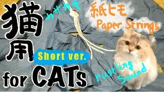 【猫用動画】おっとり猫向け ヒモ&カサカサ音 /【VideoForCats】Strings & Rustling sound For mild-mannered Cats - short ver.