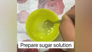 Home Base Experiment: Biology ☺️
