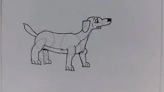 Stop Motion - Dessin d'un chien