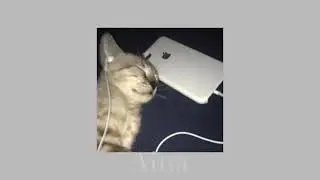 Rihanna - S&M [Speed up]