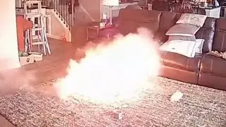 Hungry dog sparks explosion chewing on lithium-ion battery