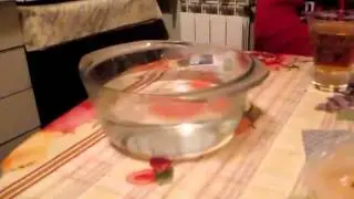 чесный тест в воде Sony m4 aqua