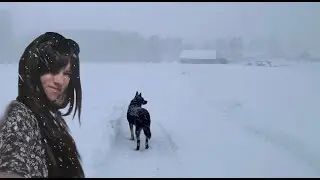 Snowstorms in March in Latvia / Country life is not that easy