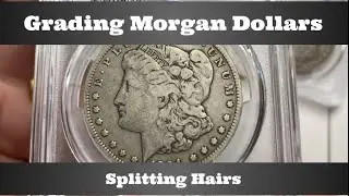 Grading Morgan Dollars - Splitting Hairs