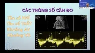 10.1. Tiếp cận rối loạn nhịp tim và ngoại tâm thu nhĩ (BS.CKII. Đỗ Thị Cẩm Giang)