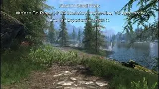 Skyrim Mod PS4: Where To Place XP32 Skeleton According To Research And My Experiences With It
