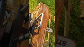 🌳🪵🪚Creating Rowan tree slabs with the chainsaw🌳🪵🪚 #woodworking #chainsaw #stihl #shorts #shortsvideo