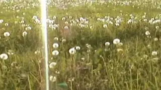 DoubleSpring