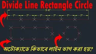 How to Divide Line, Rectangle, Circle in Autocad Bangla | Autocad Divide & Point Type Command Bangla