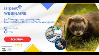 Webinaire : Le furetage  une technique de bioprédation efficace contre les rongeurs
