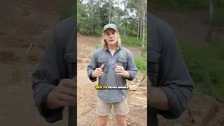 We&rsquo;re three weeks into building Australia&rsquo;s Biggest Backyard pool #construction #viral #shorts #pool