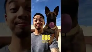 Dog Snapchat & Instagram/Facebook lens | AR