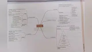 CLASS 12th|Commerce|BUSINESS STUDIES||All chapters||mind maps and on tip notes||Oswal publications 