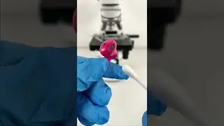 How dirty headphones magnified 400 times? #MicroMagic00 #microscope #microscopeworld #microscopeview