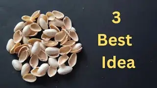 Best Out Of Waste Pista Shell craft ideas l How to Reuse Pistachio Shell #diy #craft #bestoutofwaste