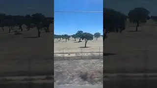 Timelapse of the Spanish Scenery Traveling on a High Speed Train