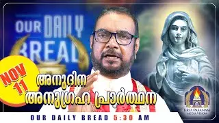നവംബർ 11 കൃപാസനം അനുദിന അനുഗ്രഹ പ്രാർത്ഥന | Our Daily Bread | Dr.Fr.V.P Joseph Valiyaveettil