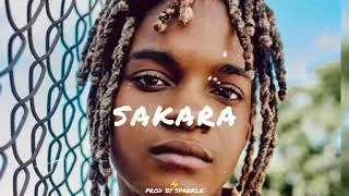 SAKARA Afro Dancehall Type Beat (koffee, patoranking, el-che, j-balvin) 2024 Reggaeton Instrumental
