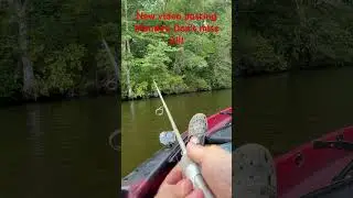 #fyp #hunting #fishing #nature #wildlife  #lake #shorts #outdoors #bass #deer #turkey #kayakfishing