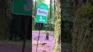 Barsey Rhododendron Sanctuary | Sikkim #barsey #rhododendron