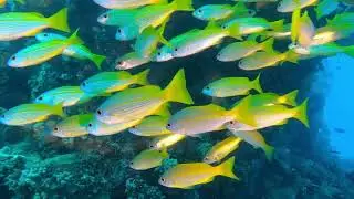 2025 Madagascar - Nosy Be /Mitsio Wreck