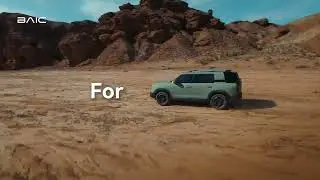 BJ30 moves with your wild