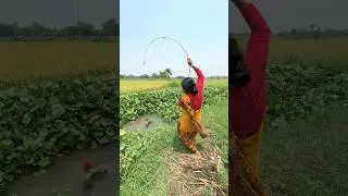 Village lady hook fishing using small fish bait in the village canal #fishingvideo #fishingmethods