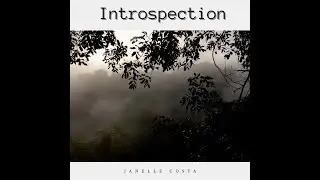 Introspection (Janelle Costa)