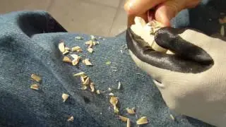 Whittling The Minature Cat Part 2