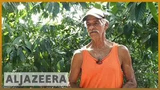 🇻🇪 Venezuela's fuel and fertiliser shortage reduce farm production l Al Jazeera English