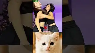 #cat #funny Wrong Hand Wife Reaction 😱🤣 #funny #cat #dance #shorts
